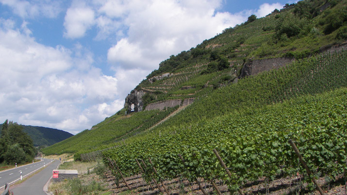 Hochlagen