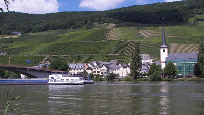Piesport