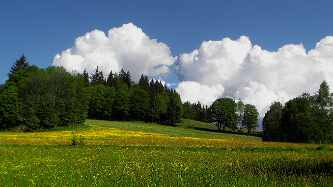 Bayerwald