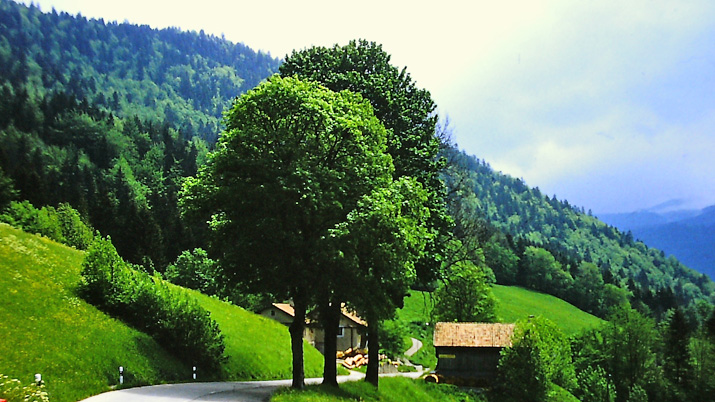 Blick zurück