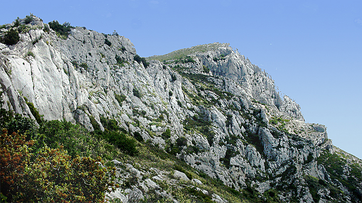 Croi de Provence