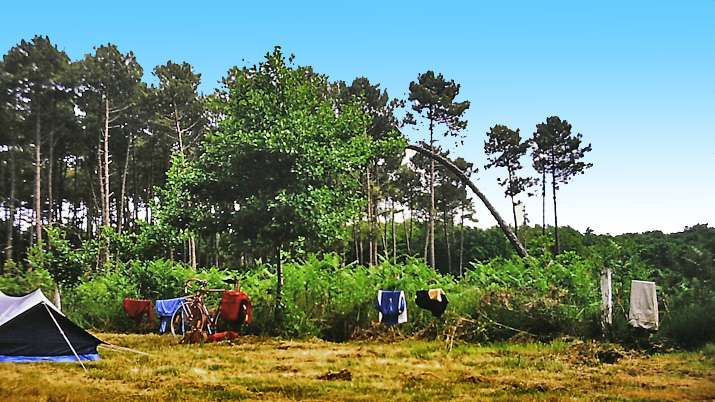 Camping des arbres d'or