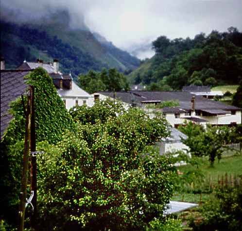 Sauwetter