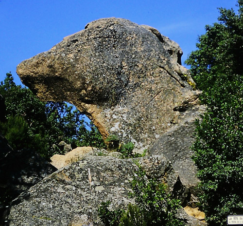 Calache de Piana, Hundekopf