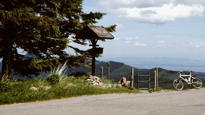 Blick ins Rheintal